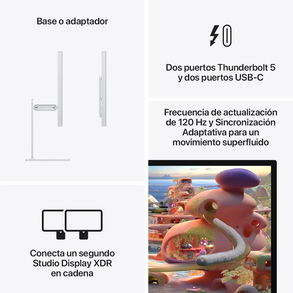 Imagen del producto 8